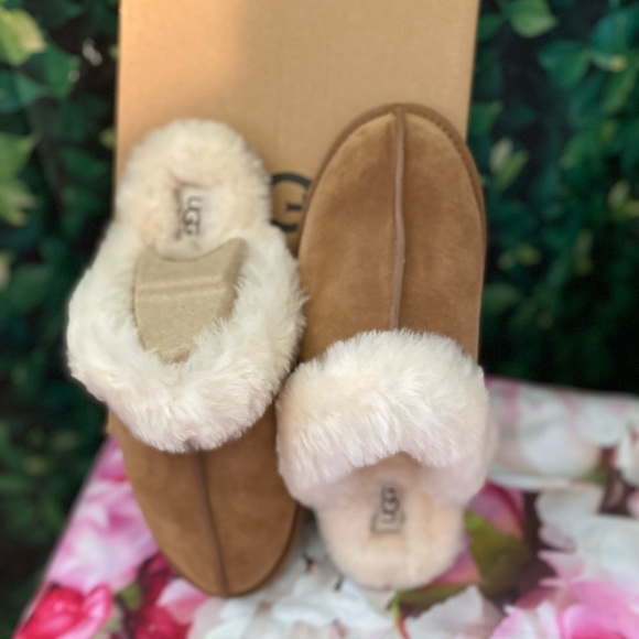 BNIB UGG Scuffette slippers tan sz5  suede authentic - Picture 6 of 7